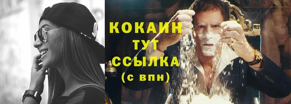 кокс Алексин