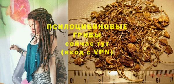 кокс Алексин